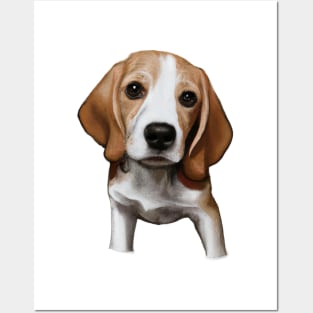 Cute Beagle Drawing Posters and Art